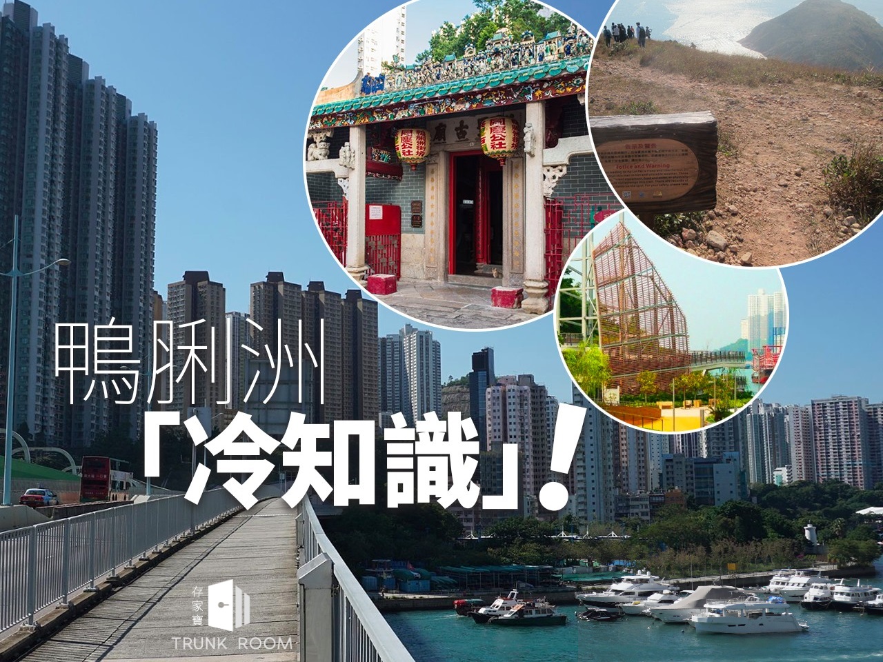 Blog